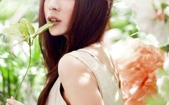 老司机在线精品视频网站